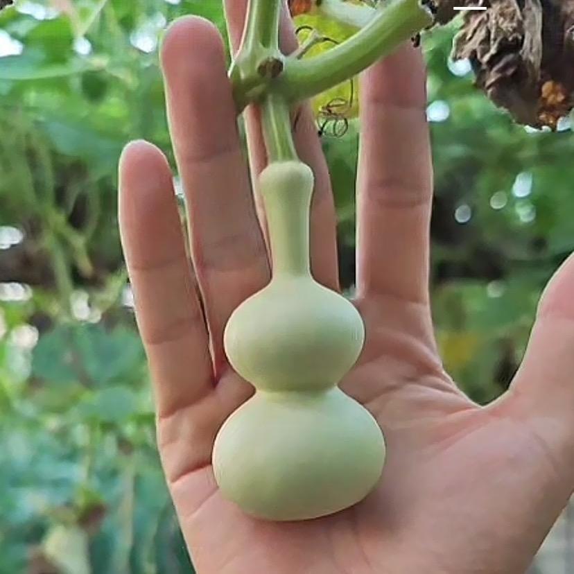 依芳蕙好工艺葫芦销售中心