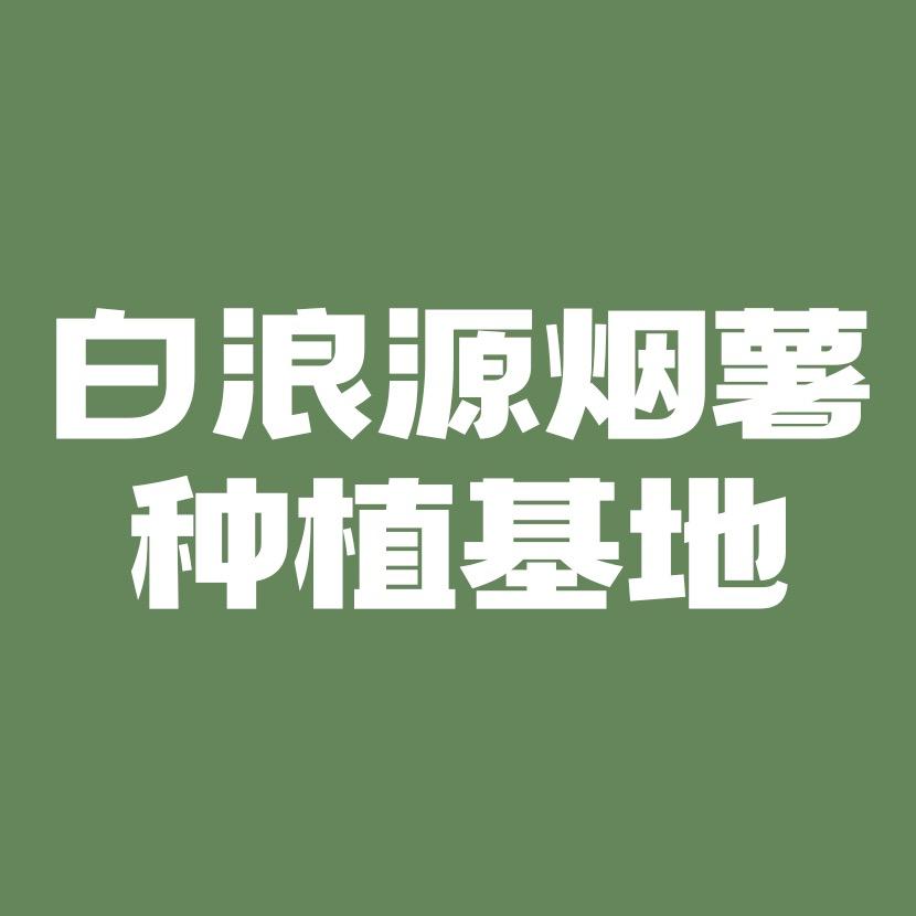 白浪源烟薯种植基地