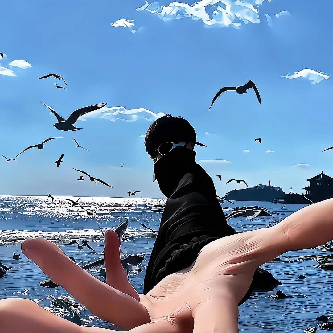 遛弯的小鲨鱼