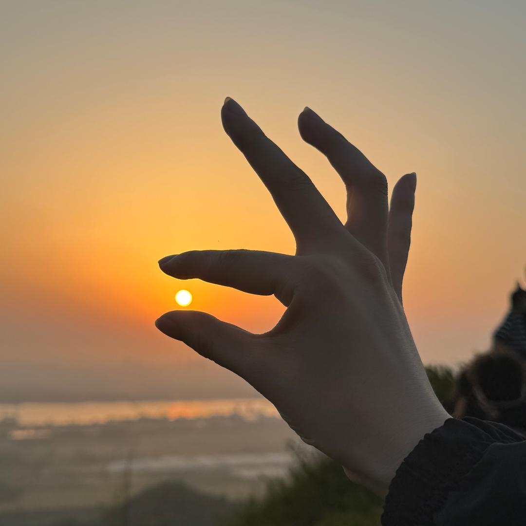 也可以是向日葵