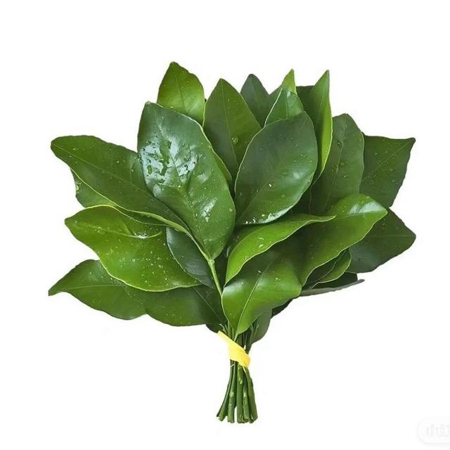 不开心了就暴打婆婆