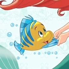 我家墙上都是羊