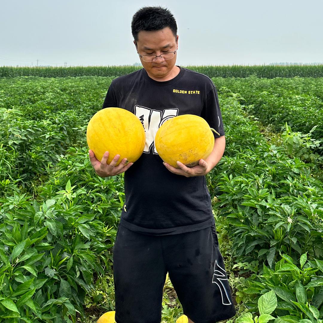 中菓农业老徐