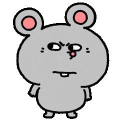 wydwd