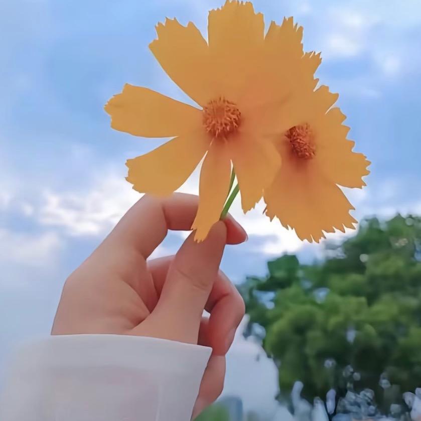 ృ༊七秒記憶♡ ༘⋆