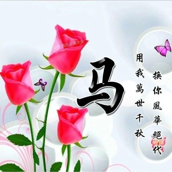 马铭泽9644