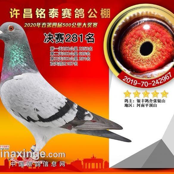 贵州昌盛鸽业