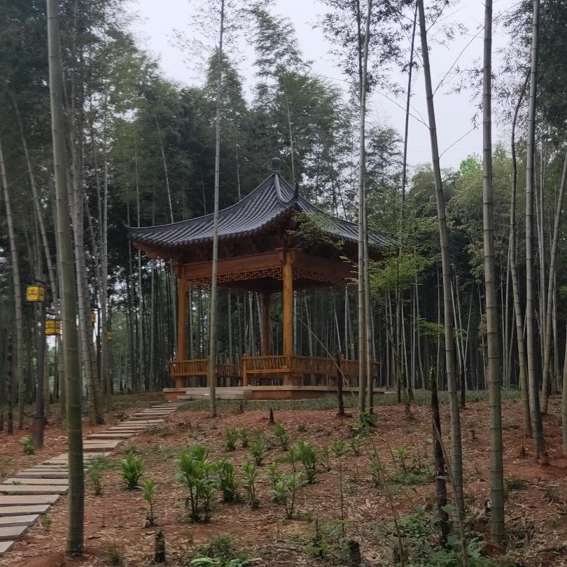 聆悦音响 117214219637