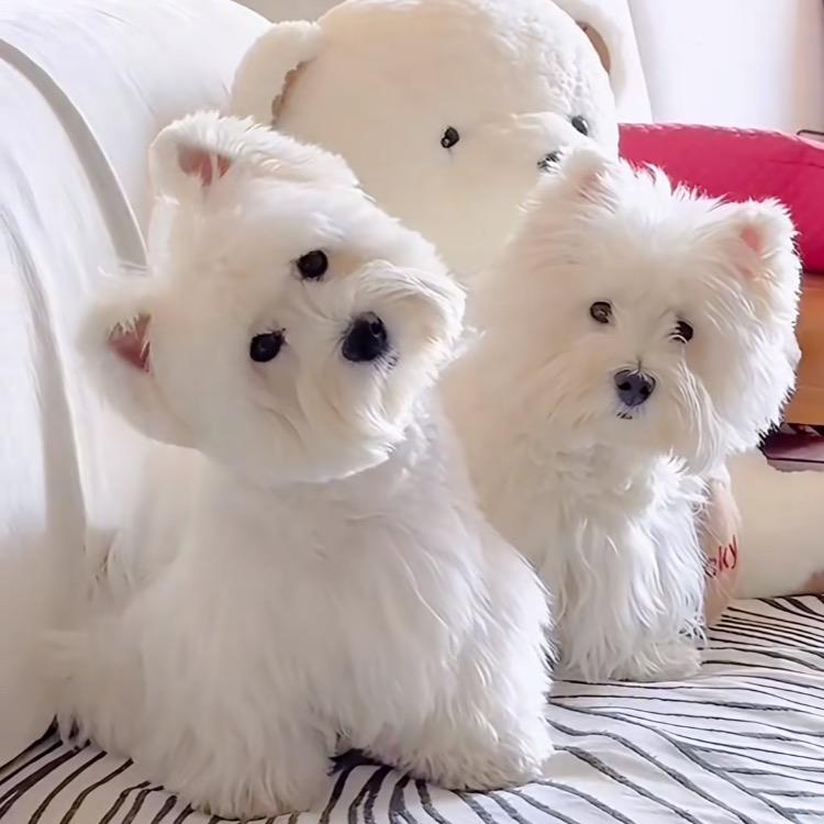 晨儿💕