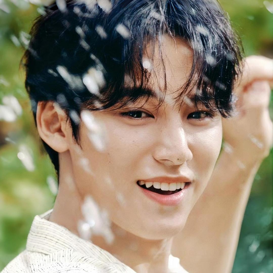 AAA马尔济斯寄养