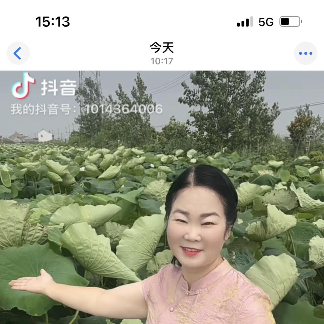 宝应藕大姐农产品加工厂