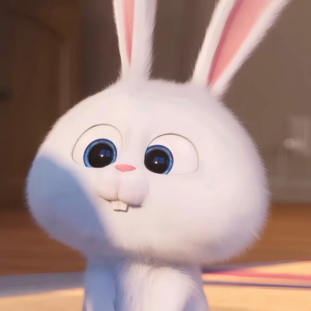别揪兔耳朵🐰