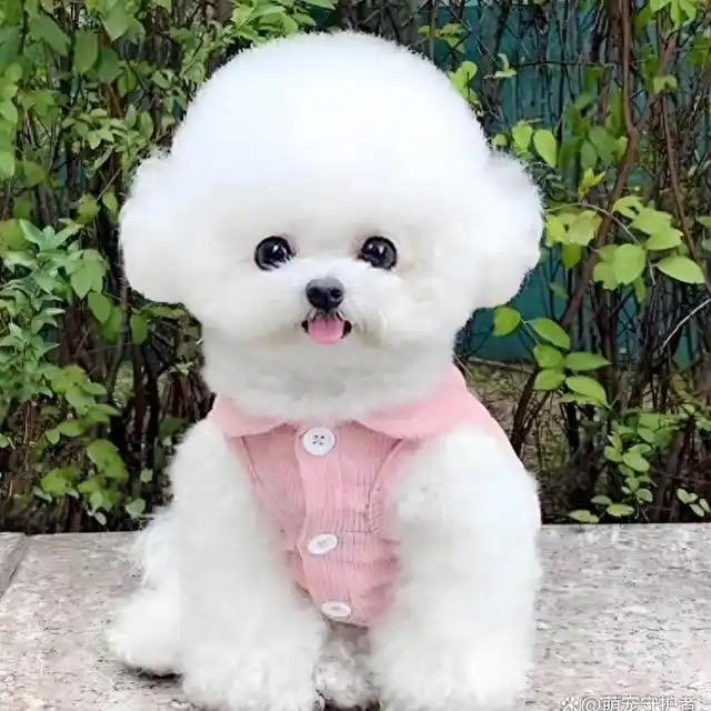 清浩小铺