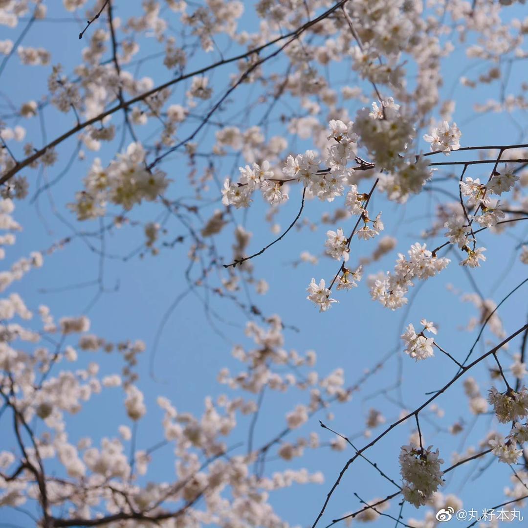 手机用户79600904390