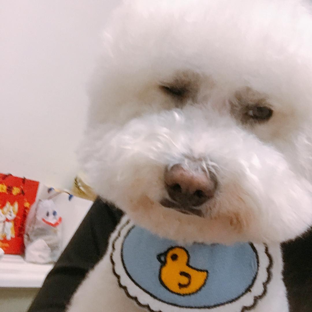 兜兜真的好可爱