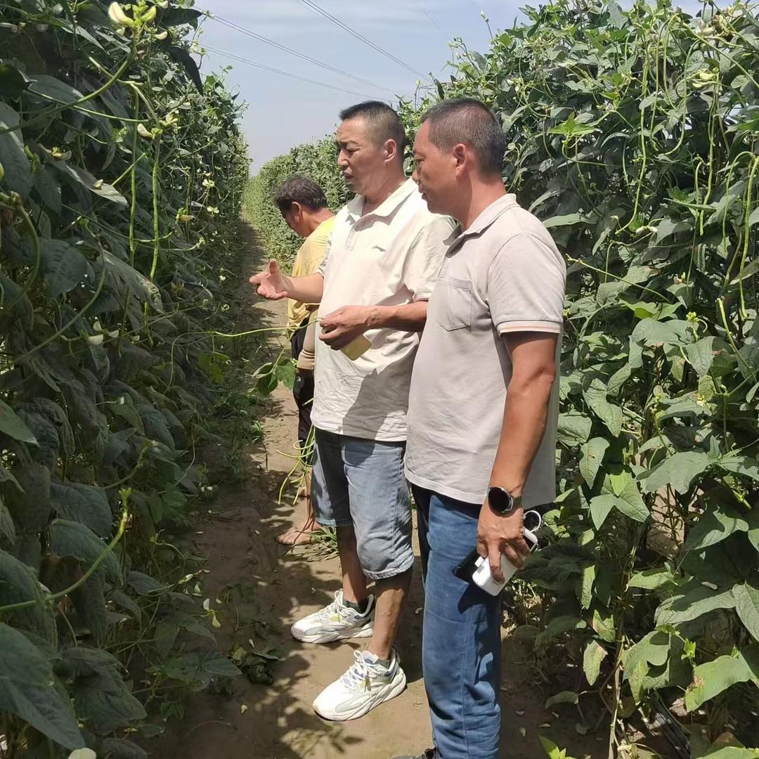 国峰专做农资技术