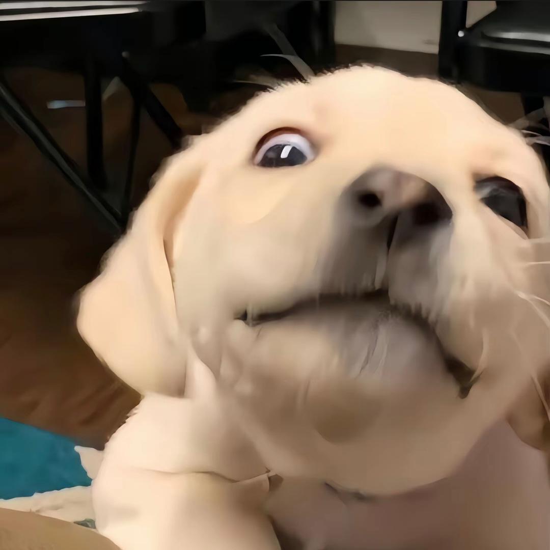 X3