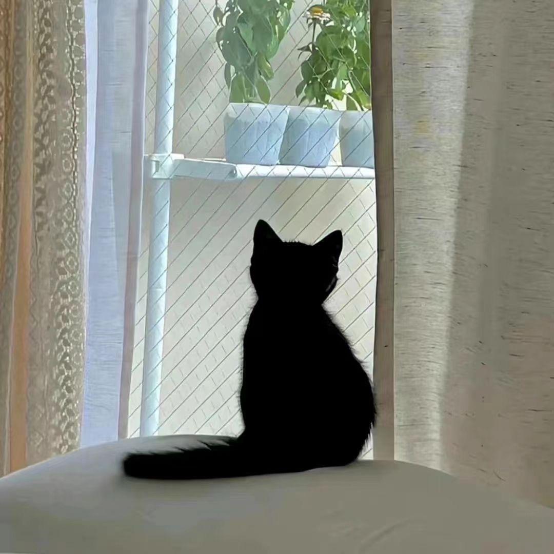 左耳-