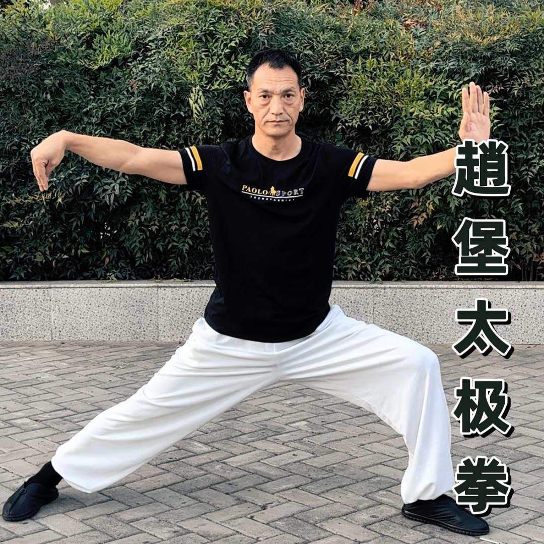 温县赵堡太极拳☯️王长青