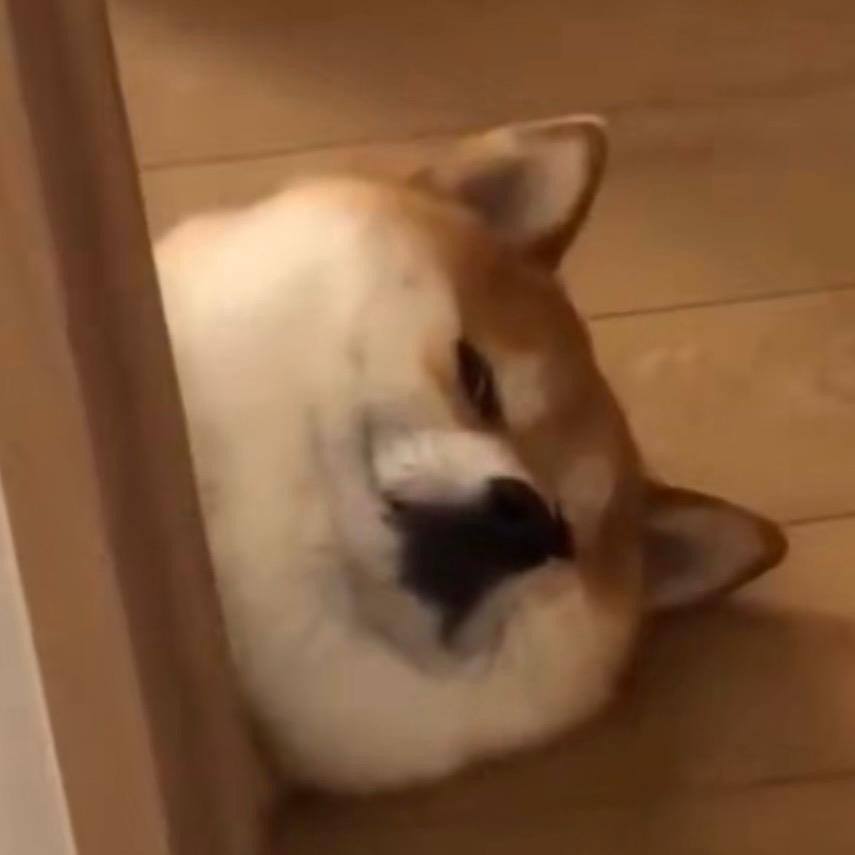 维他命啫喱咖啡