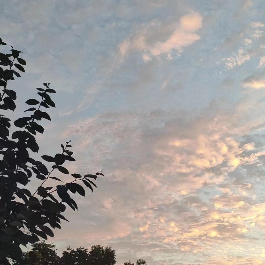 下一年，会更好，