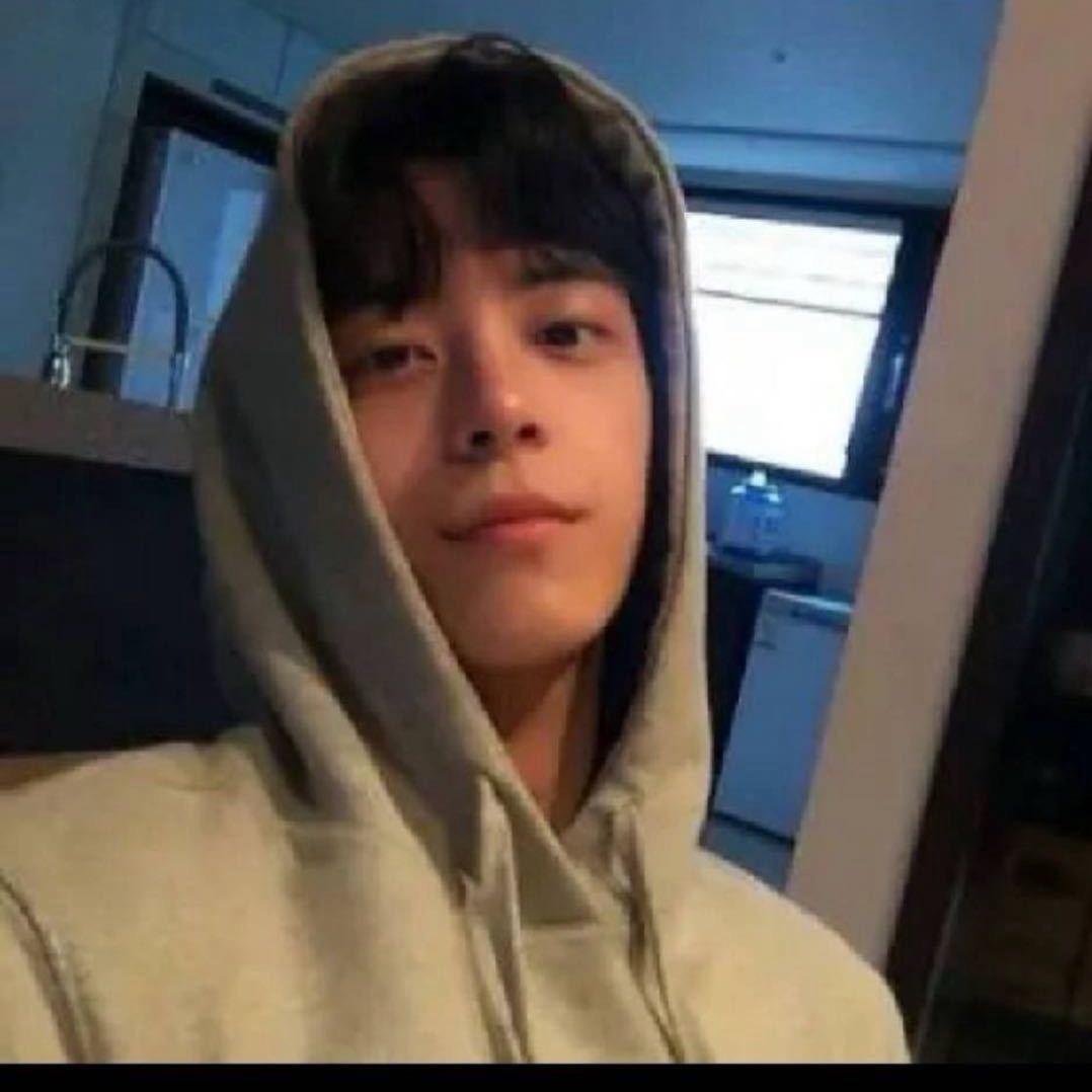 土豆企鹅🐧鸭！