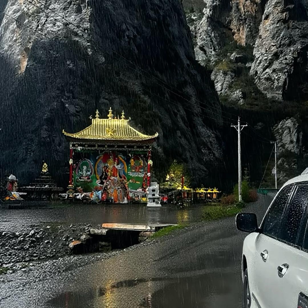 🐉——登真🌱