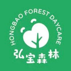 洛阳市弘宝森林托育服务有限公司