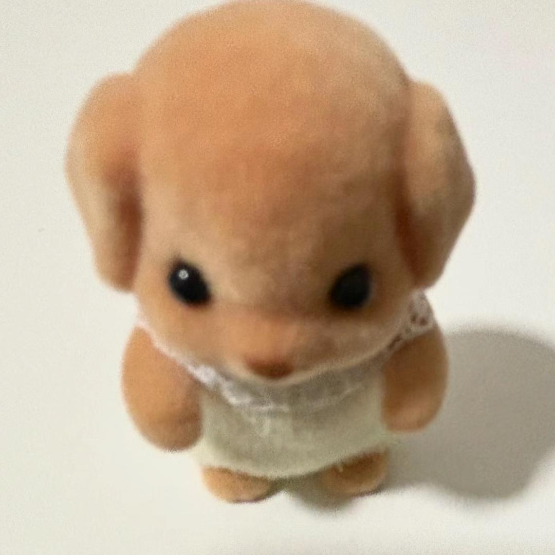小伙汁