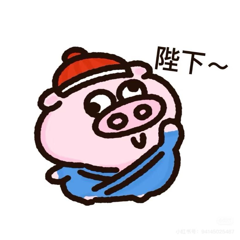 猪涛涛