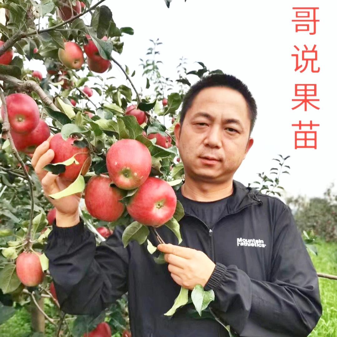 夕飞昭通千园农业种植有限公司果树苗木专卖店