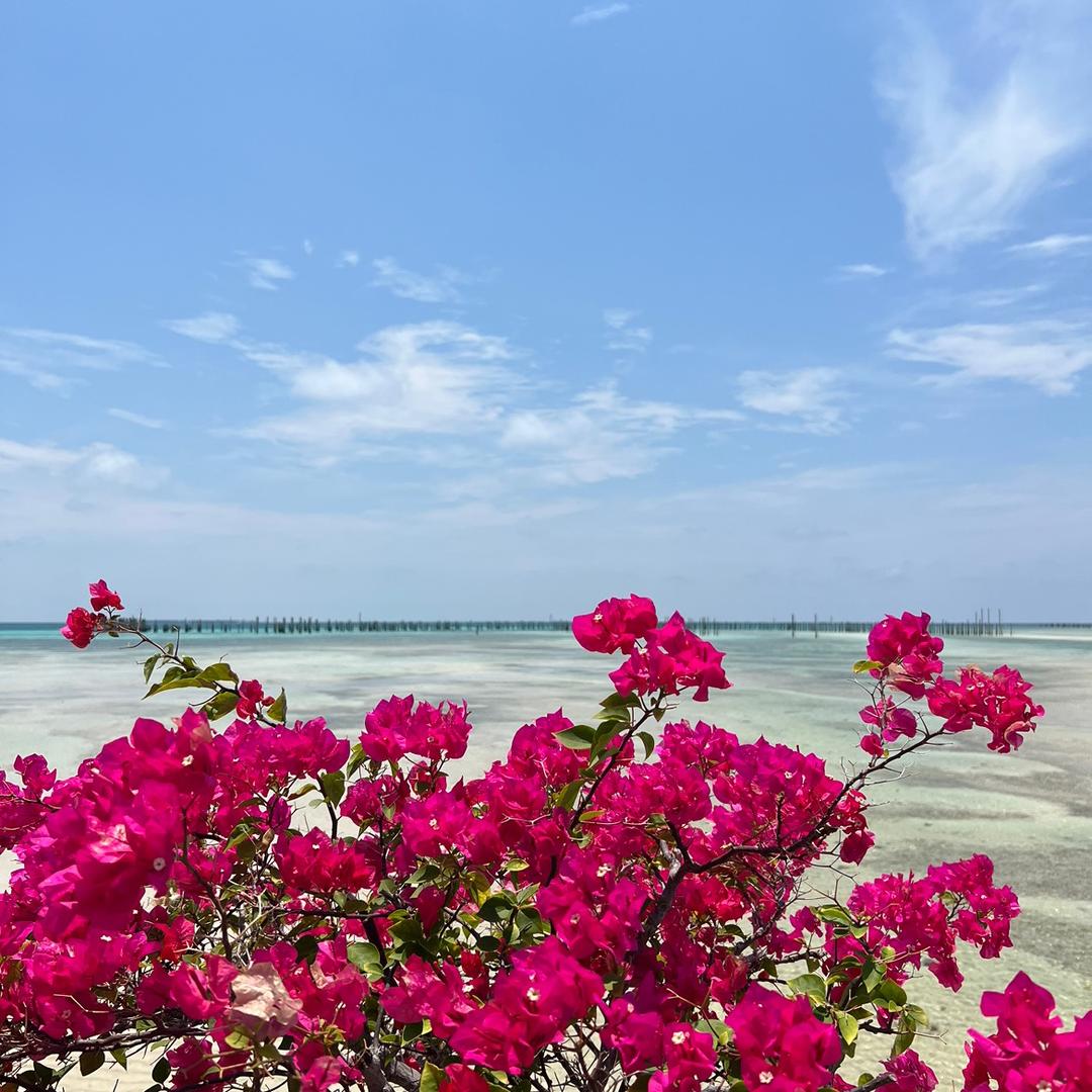 花.时间@