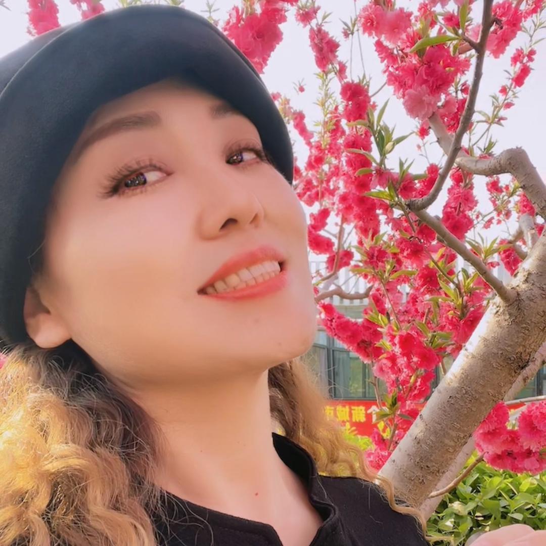木棉花