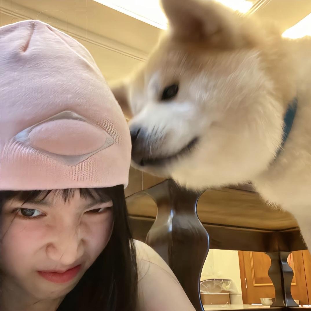小魚呆呆