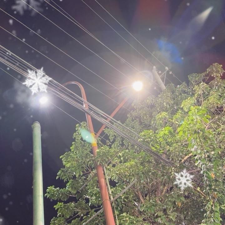 斑马还没有睡