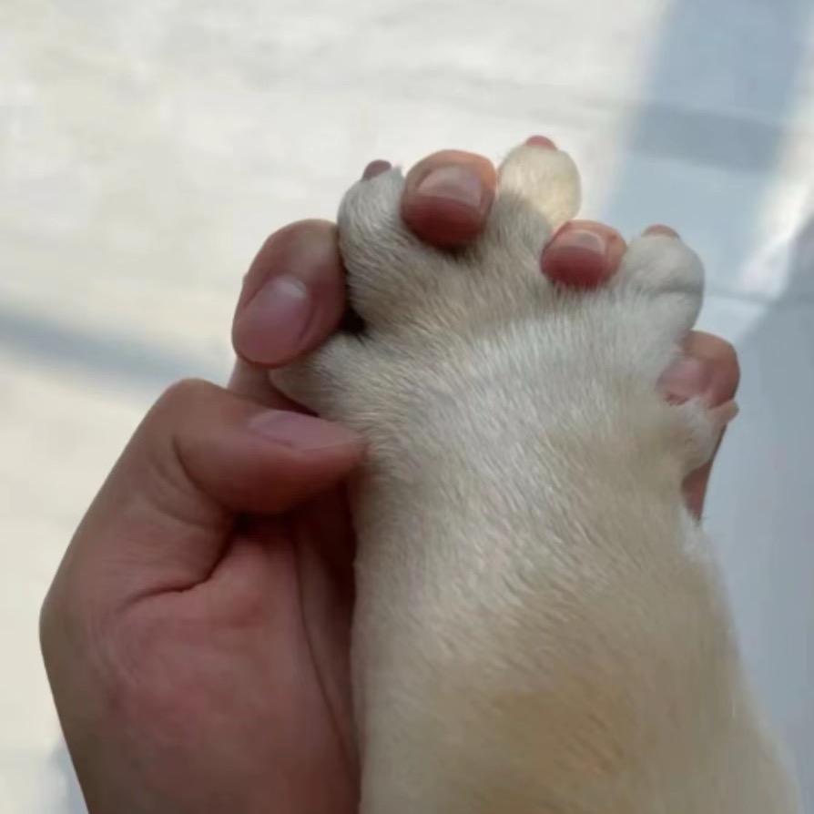 2269438头像