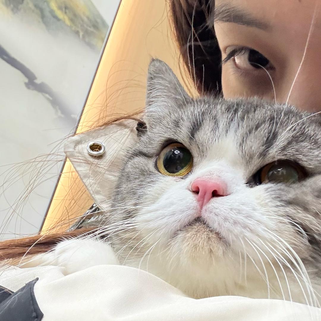 耶汁