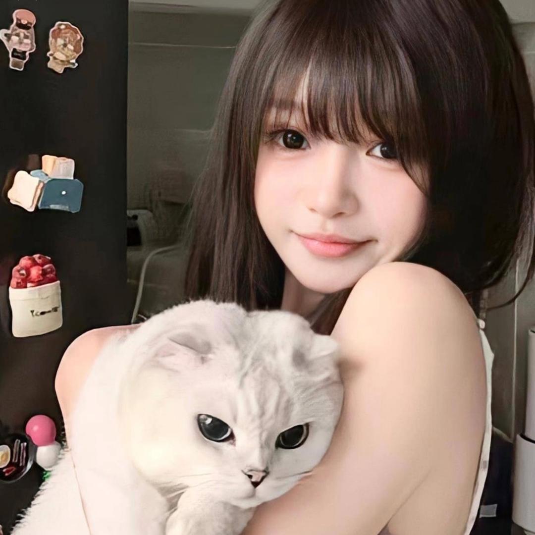 艺点点