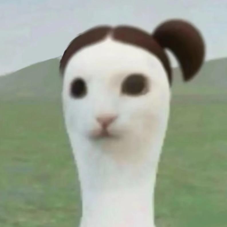 Zii