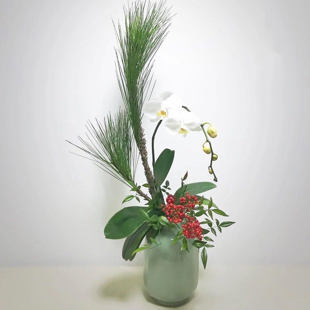 夏洛特花园