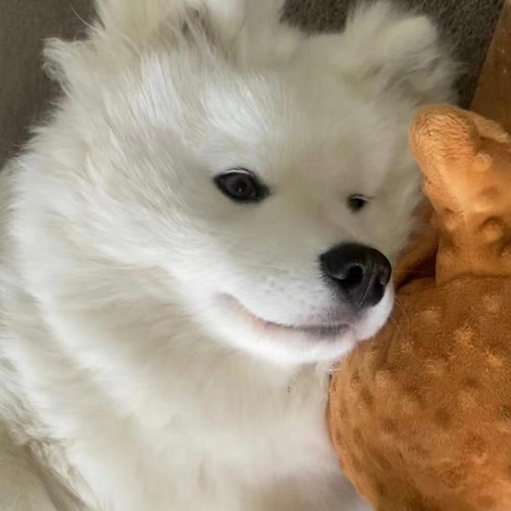 蛤蟆蛙猫
