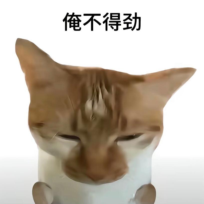 哈哈哈.哈
