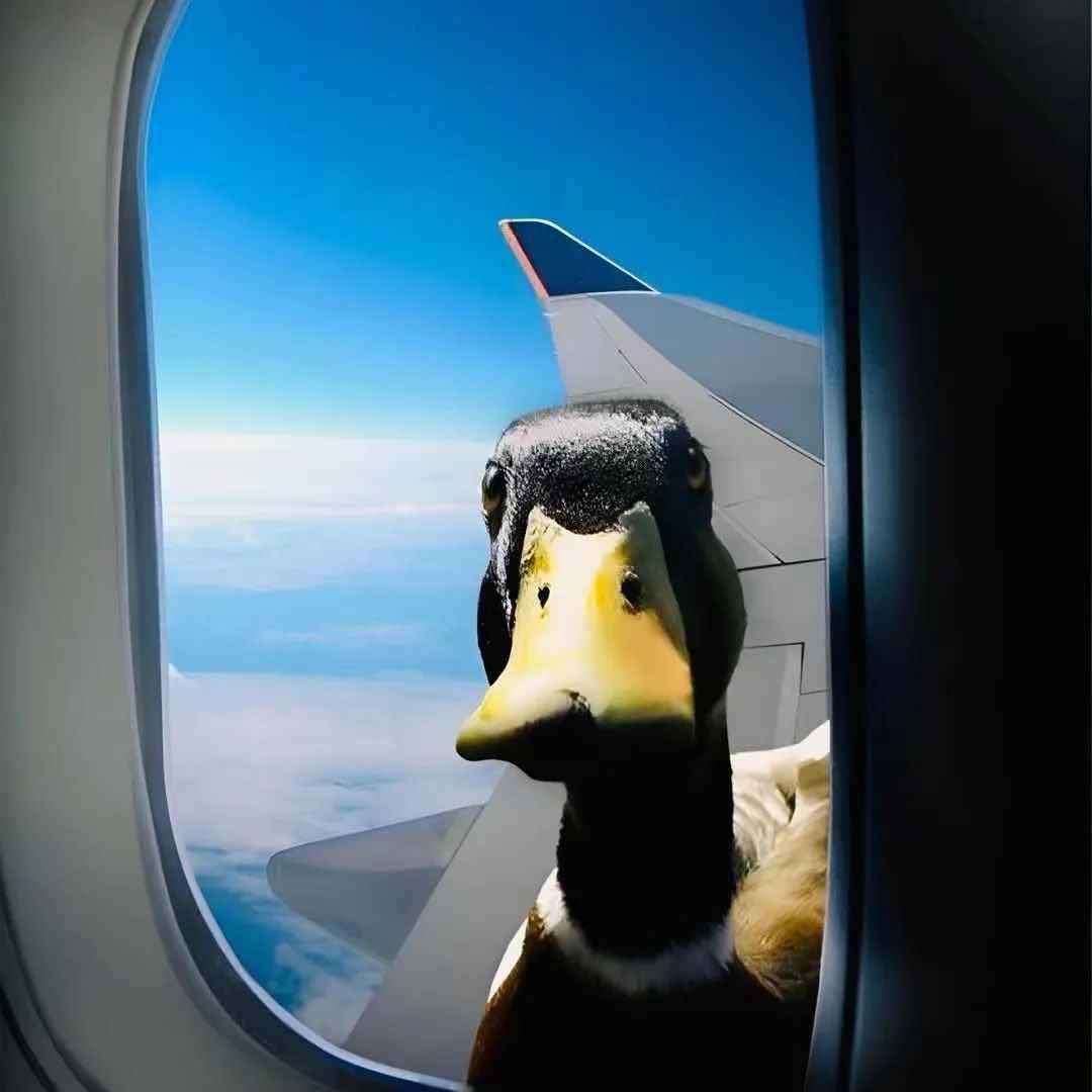 麦克.教嗯.姐夫🦁️ᴴᴮ