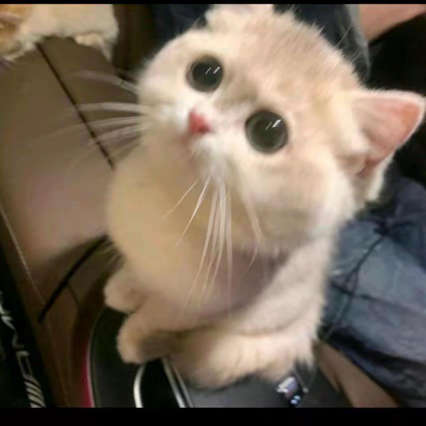 辣椒油🥨