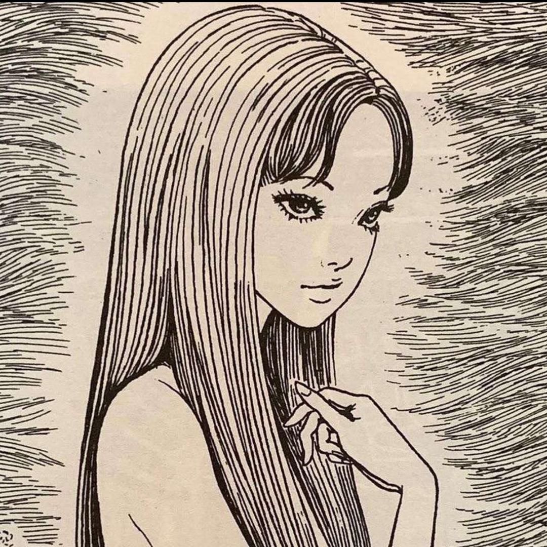 小白羊 ☽