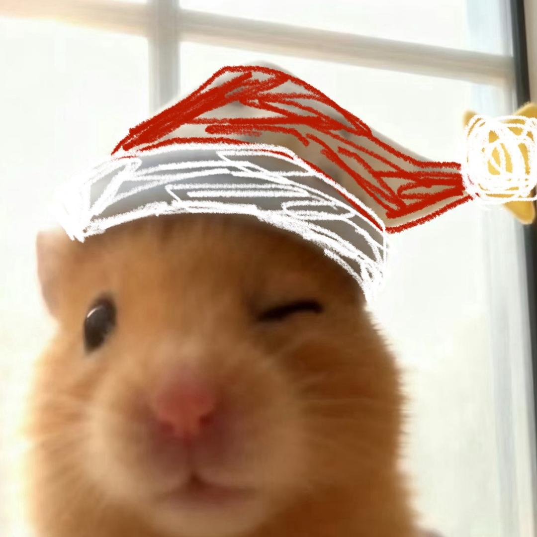 这个杀手有点冷