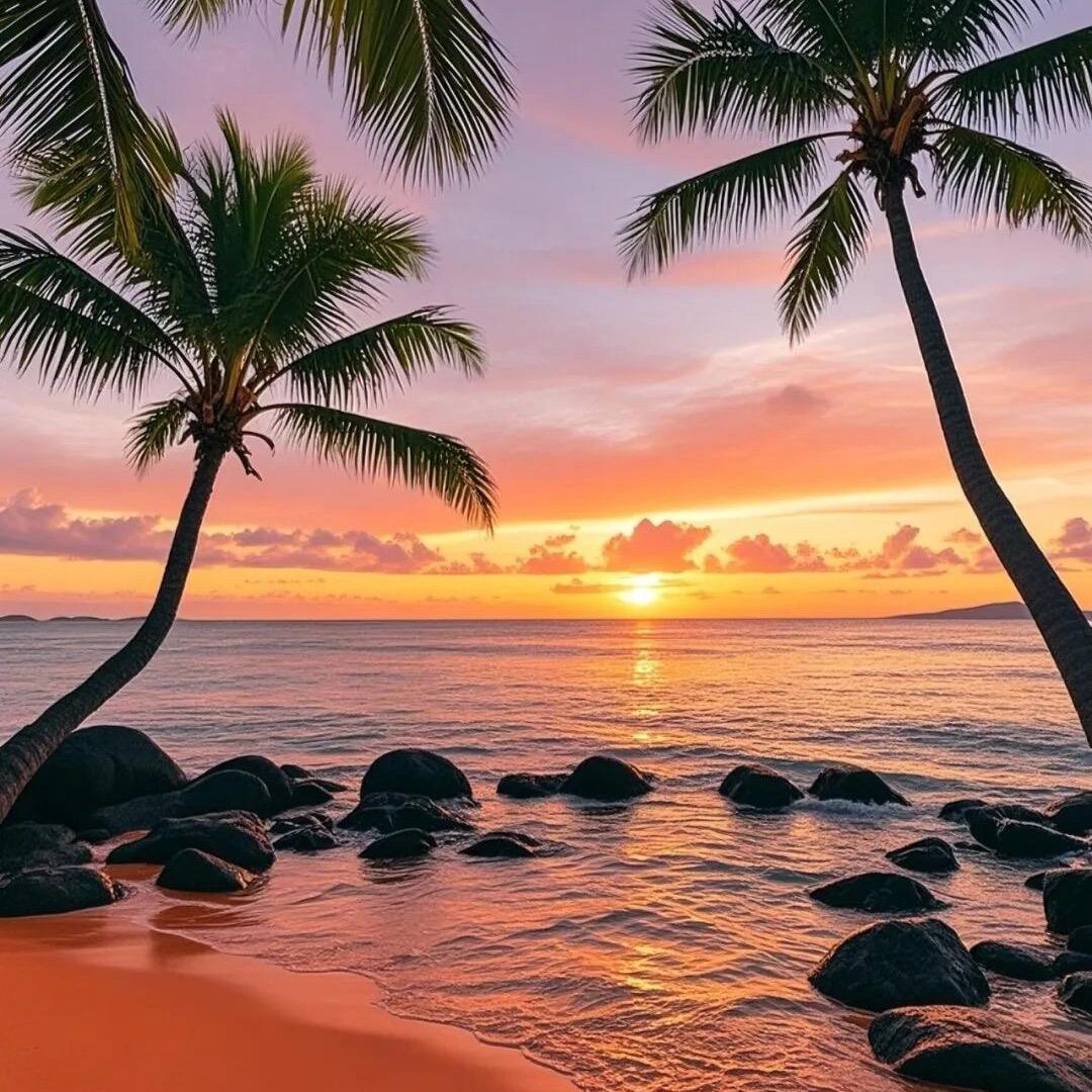 鼎立建材.专业生产ALC墙板.高精砌块