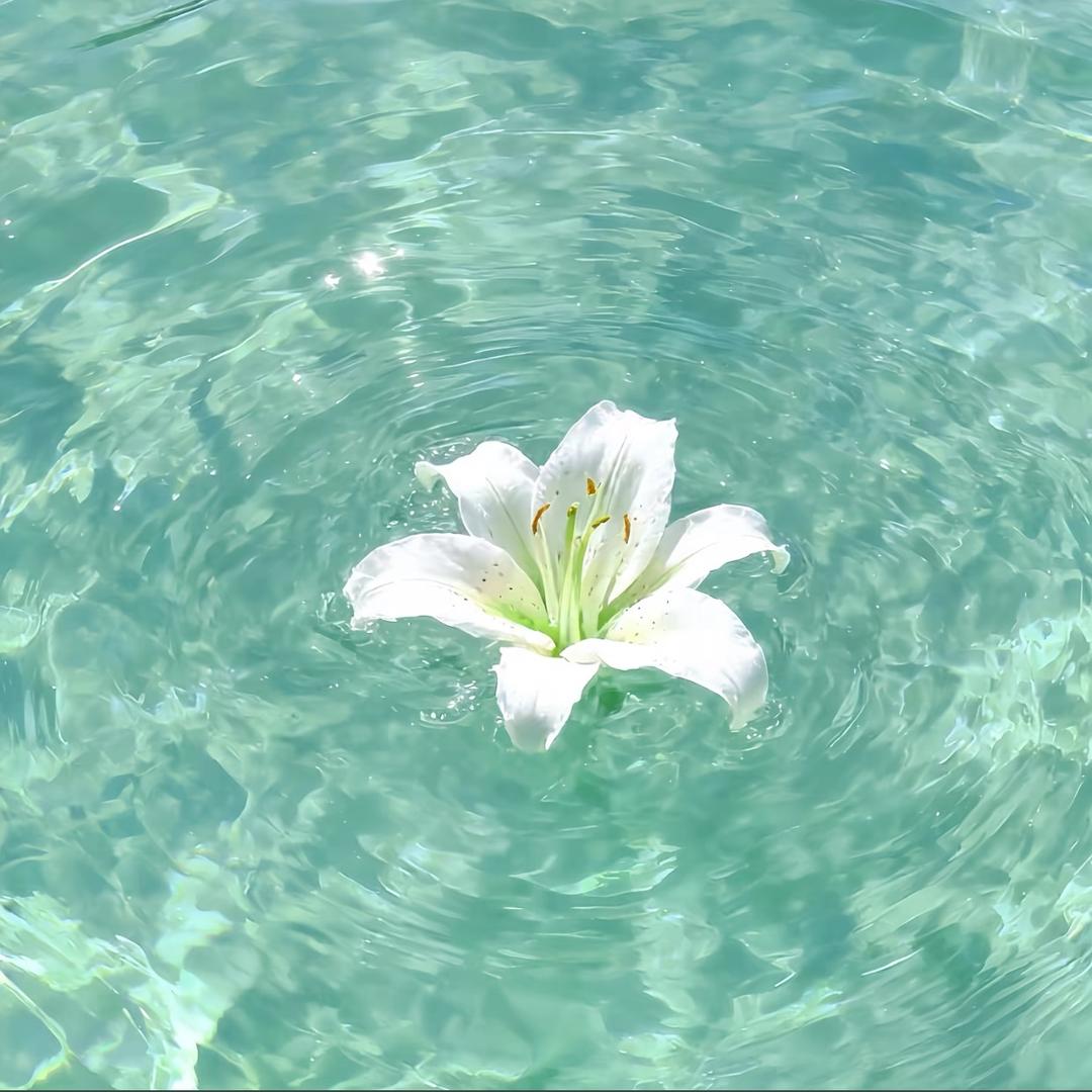 诚 意
