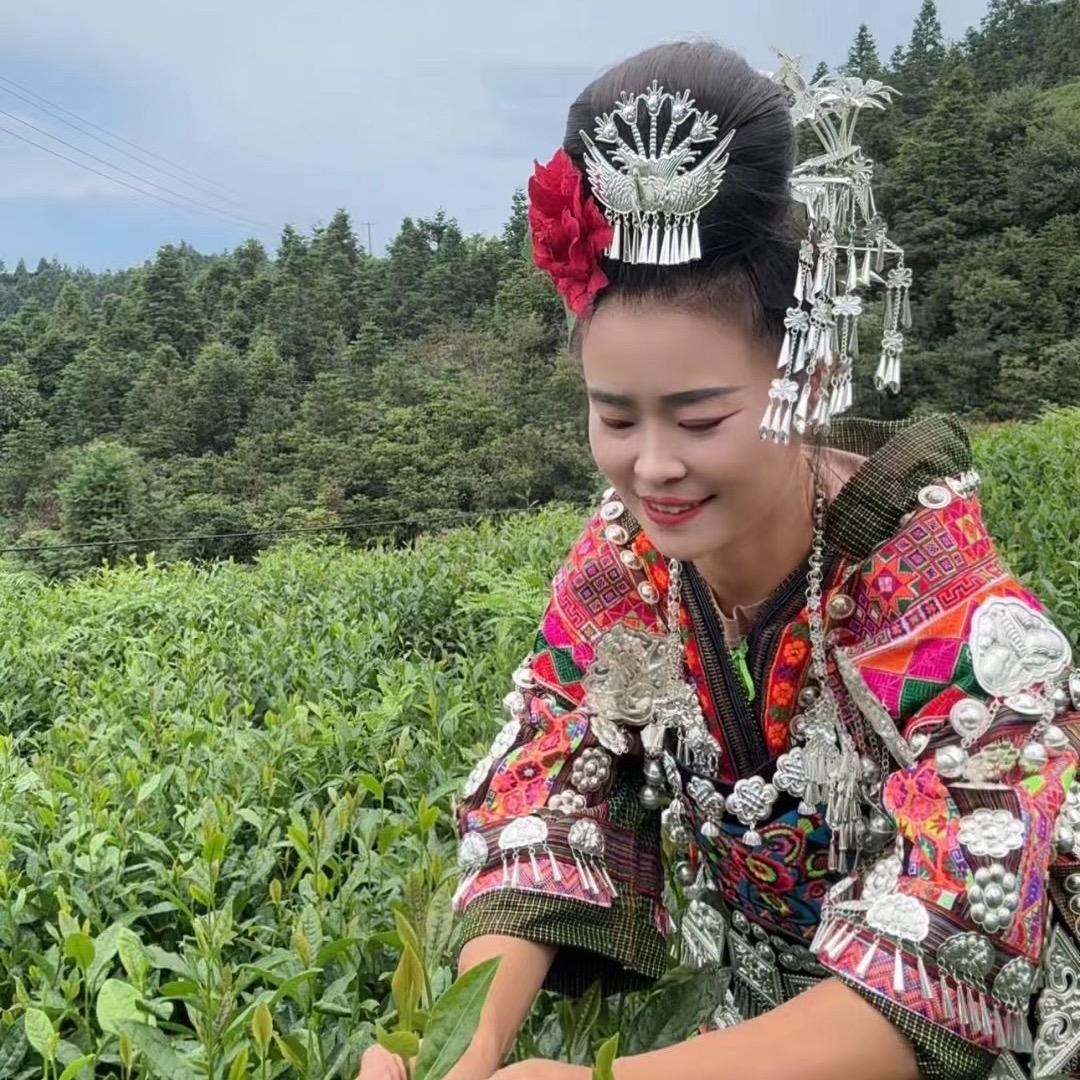 李华梅子（贵州雷山茶）
