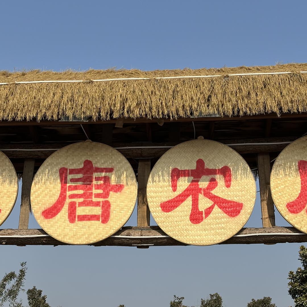 大唐农庄*（馕坑烤羊排*炭火烧烤）